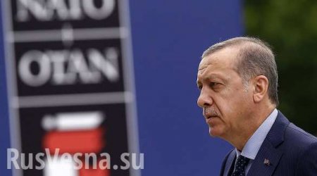 «Враждебная организация нам не нужна»: почему советник Эрдогана призвал поднять вопрос о выходе из НАТО
