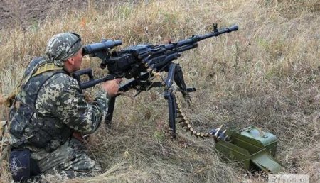 На что они рассчитывали: Командир батальона «Призрак» о провальной попытке ВСУ проникнуть на территорию ЛНР