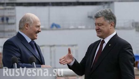 Лукашенко обвинил Порошенко в раздувании шпионского скандала