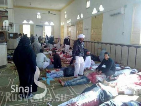 Теракт в египетской мечети: более 300 погибших и раненых (ФОТО 18+)