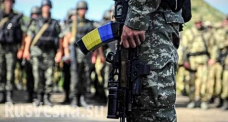 Народная милиция ЛНР призвала жен и матерей бойцов ВСУ не отпускать близких на войну