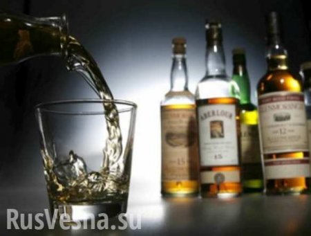 Названы главные алкоголики Европы (ИНФОГРАФИКА)