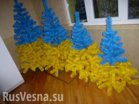 В Кишиневе разгорается скандал из-за облезлой елки из Украины (ВИДЕО)