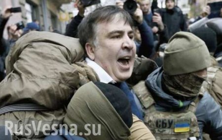 «Вот Миша, который живет на крыше», — в сети набирает популярность ролик про Саакашвили (ВИДЕО)