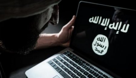 «Диванный халифат»: после потери территорий боевики ИГИЛ перейдут в киберпространство