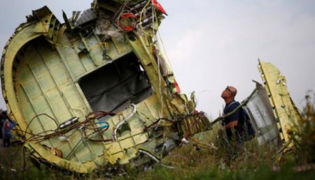 ДНР: Американский журналист обнаружил останки на месте крушения MH17
