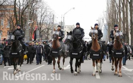 Нацгвардии Украины разрешили разгонять толпу с помощью собак и коней