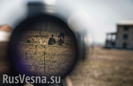 Жестокие кадры: Снайперы уничтожают нацистов на Донбассе (ВИДЕО 18+)