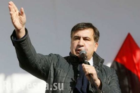 Саакашвили зовет украинцев на майдан после убийства правозащитницы