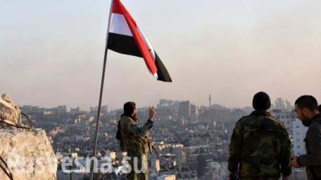 Армия Сирии добила террористов в пригороде Дамаска, водрузив флаги САР на высотах (+ФОТО)