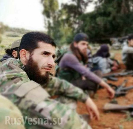 Отрезать голову змее: главари крупнейших банд Идлиба уничтожены в Сирии (ФОТО)
