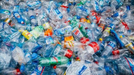 Британия может утонуть в пластиковом мусоре