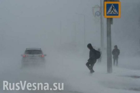 Снежный апокалипсис: в столице Казахстана объявлен режим ЧС (ФОТО, ВИДЕО)