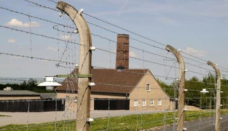 Уроки истории: В Германии хотят проводить обязательные экскурсии по концлагерям для мигрантов