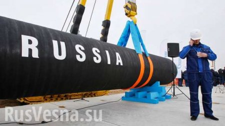 На Украине признали, что заблокировать «Северный поток-2» не удастся