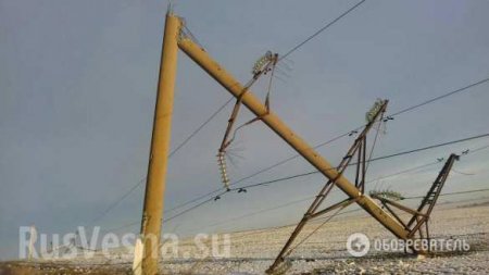 Не было с 1975: в Одессе ветер повалил более тысячи опор (ФОТО, ВИДЕО)