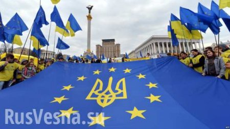 В Совете Европы целенаправленно создают проблемы Украине, — глава украинской делегации