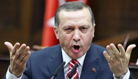 Эрдоган пообещал дойти до Идлиба