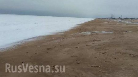 «Еще выкопаем»: в Херсонской области замерзло море (ФОТО, ВИДЕО)