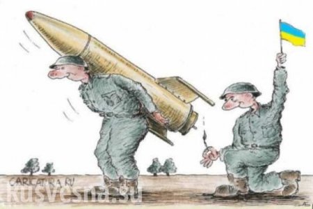 «Это всё туфта» — в Госдуме отреагировали на испытания украинской крылатой ракеты (ВИДЕО)