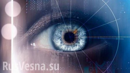 Слепые прозреют: российские генетики «ремонтируют» нейроны глаза (ФОТО)