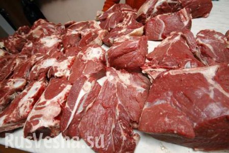 Украинка попыталась тайно провезти в Россию 200 кг мяса в купе