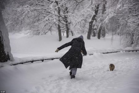 «У них отменили меньше полетов, чем во время небольшого снегопада в Британии»: британцы поразились восприятию снегопадов в России