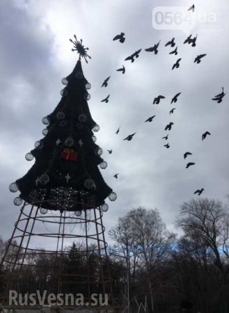 Сколько той зимы: в Кривом Роге полуразобранная новогодняя елка будет стоять до июля (ФОТО)