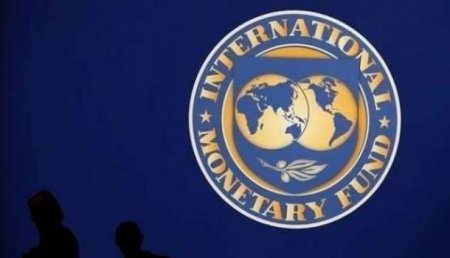 На Украину едут ревизоры МВФ