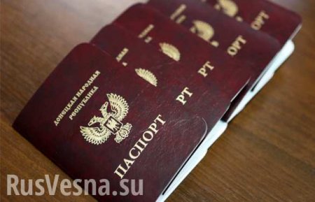Как получить паспорт ДНР: кто имеет право, документы и процедура