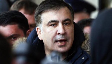 Грузино-европейский альянс: Саакашвили призвал Меркель и ЕС оказать ему помощь в борьбе с Порошенко