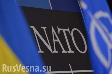 В НАТО объяснили, почему Украина не может вступить в альянс