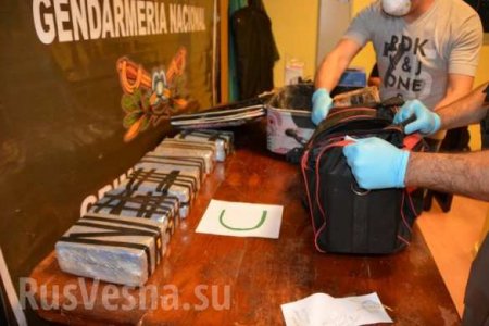 Спецслужбы России и Аргентины провели масштабную операцию против наркокартеля (ФОТО, ВИДЕО)