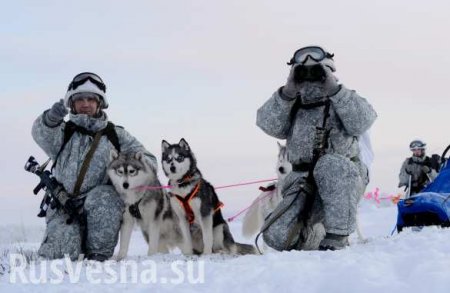 Россия защищает и очищает Арктику