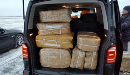 Посольство России в Аргентине опровергло домыслы о «кокаине в диппочте»