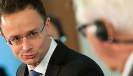 В МИД Венгрии заявили, что украинские власти «брутально атакуют» национальные меньшинства