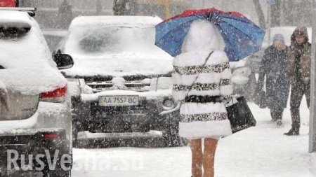 Экстренное предупреждение МЧС: На Москву обрушится сильный ветер и снегопад