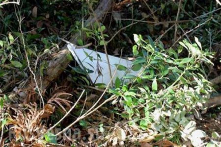 В Японии на жилой дом рухнула деталь от самолета (ФОТО)