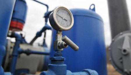 Верные вассалы: В Госдепе похвалили украинцев за экономию газа