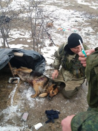 Офицеры штаба «АТО» заехали на минное поле, потеряв людей и технику — сводка из Донбасса (ФОТО, ВИДЕО)