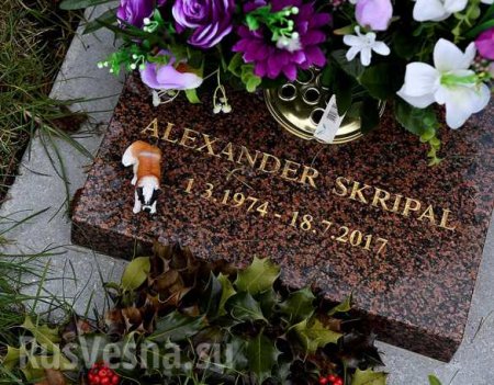Цветы смерти: в Британии изучают букет с могилы жены Скрипаля, называя его вероятной причиной отравления (ФОТО)