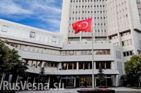 МИД Турции вызвал посла Германии в связи с поджогами мечетей