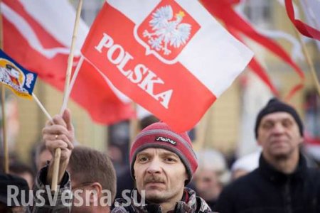 Почти половина поляков негативно относится к украинцам