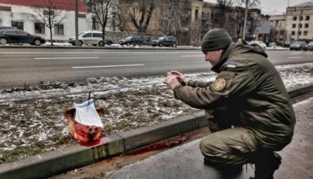 Свидомые патриоты принесли к посольству России в Киеве окровавленную голову свиньи