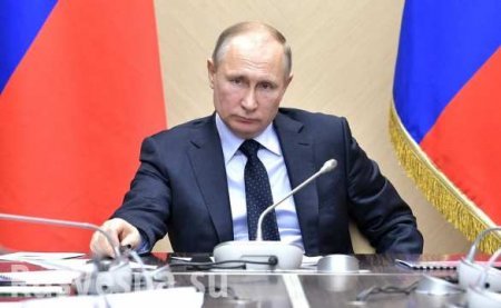 Путин получает 72,53% после обработки 25,03% протоколов