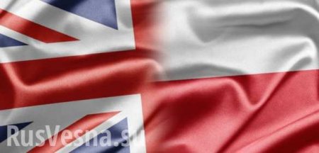 Польша собралась выслать российских дипломатов «из солидарности с Британией»