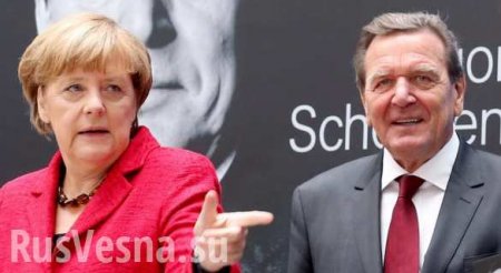 «Не факт, что Меркель отреагирует адекватно», — эксперт о призыве Климкина «наложить санкции на Шрёдера»