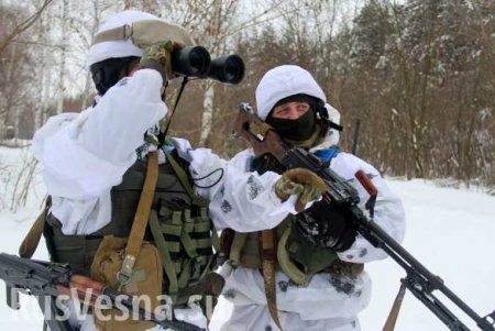 В ЛНР возбудят дело против британского военного атташе за подготовку украинских диверсантов