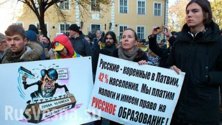 Выдавливание русских: сейм Латвии одобрил перевод всех школ на государственный язык