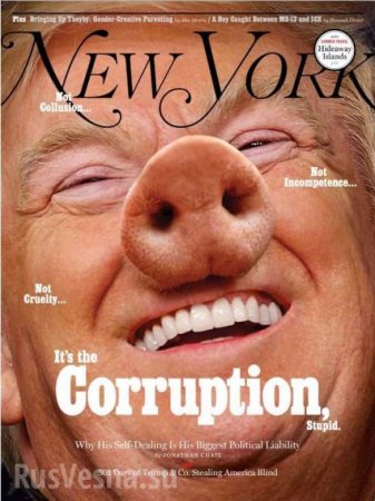 Влиятельный американский журнал поместил на обложку Трампа в образе свиньи (ФОТО)